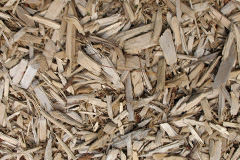 biomass boilers Dudley Wood